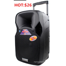 CE RoHS 12inch Trolley Speaker with Bluetooth Microphone FM 50W F87